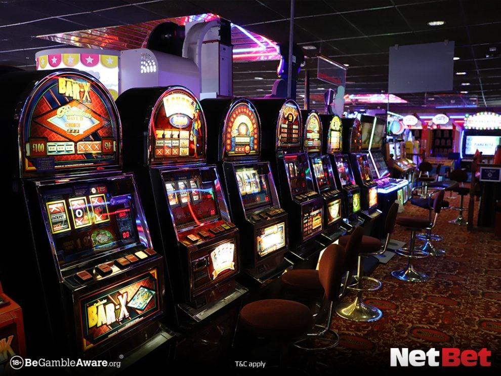 188w|Bingo Online – Descubra Agora no Cassino Moderno